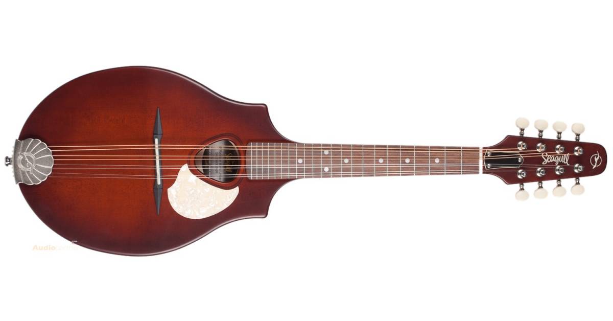 Mandolína SEAGULL S8 Mandolin Burnt Umber | Augustinus.cz