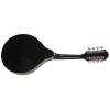 Mandolína WASHBURN M1B-A-U - 2