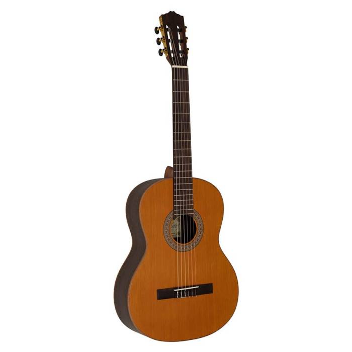 Klasická kytara 4/4 Salvador Cortez Iberia Rosa C