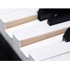 Digitální piano Medeli Forte UP605/BK - 6