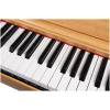 Digitální piano Henry’s Vila DPV110 - 6