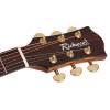 Elektroakustická kytara Richwood Astist RG-27-CE - 8