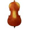 Violoncello 4/4 Rudolph Conservatoire RC-2044-EU - 2