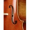 Violoncello 4/4 Rudolph Conservatoire RC-2044-EU - 5