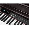 Digitální piano - vystavený kus Medeli DP460K/RW/B - 5