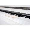 Digitální piano Medeli Forte UP605/WH - 7