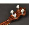 Folkové banjo Richwood Master RMB-1805 - 5