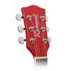 Akustická kytara dreadnought Richwood Artist RD-12-RS - 3