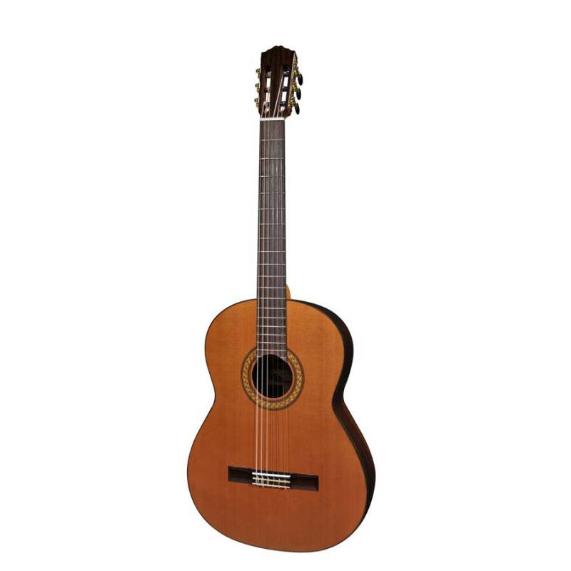 6-strunová baskytara Salvador Cortez Solid Top Concert CC-60-BA - 1