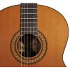 6-strunová baskytara Salvador Cortez Solid Top Concert CC-60-BA - 3