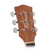 Elektroakustická kytara dreadnought Richwood Artist RD-12-CE - 3