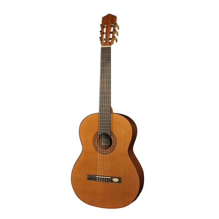 Klasická kytara Salvador Cortez Solid Top Artist CC-22E