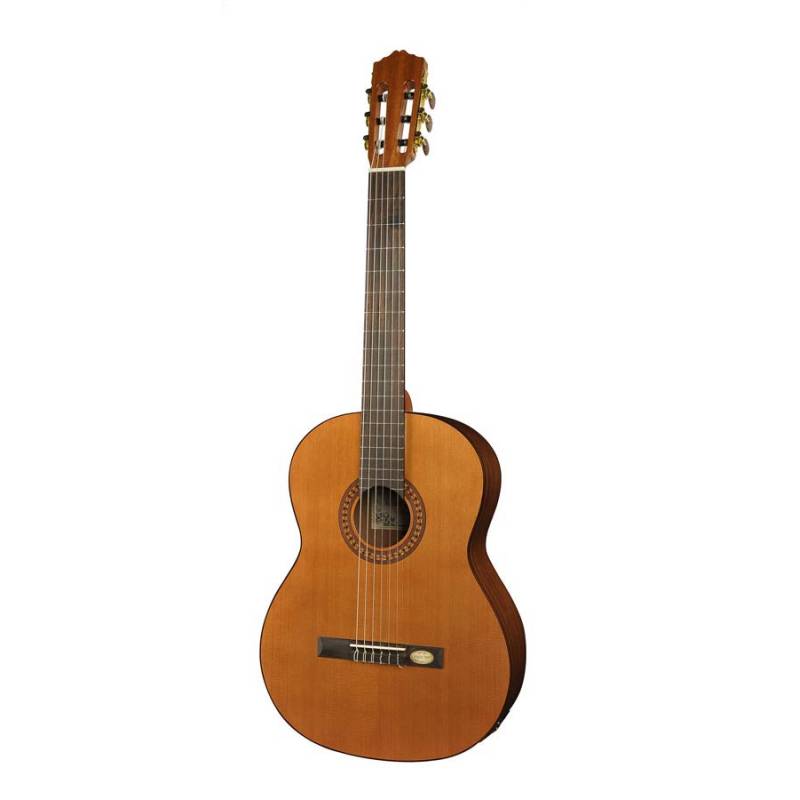 Klasická kytara Salvador Cortez Solid Top Artist CC-22E - 1