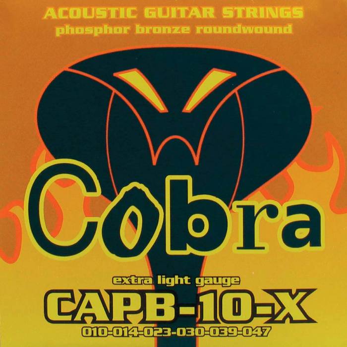 Struny na akustickou kytaru Cobra CAPB-10-X